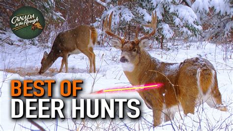 deer hunter videos|best deer hunting video ever.